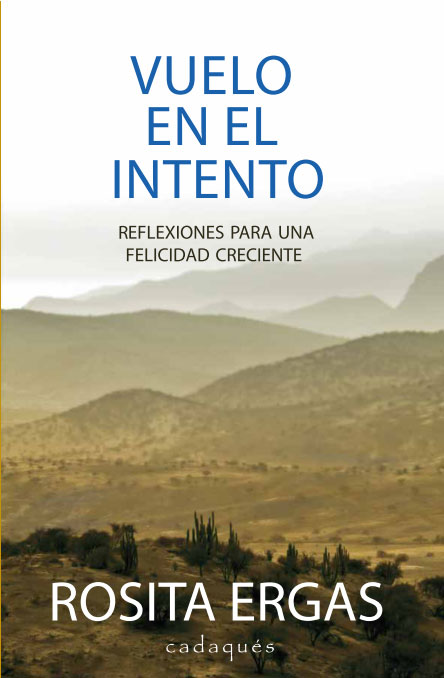 Tapa de Vuelo en el Intento